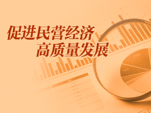 專題丨促進民營經(jīng)濟高質(zhì)量發(fā)展